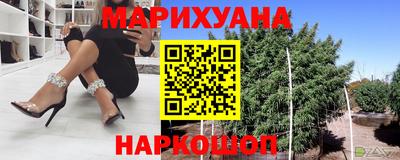 spice Новодвинск