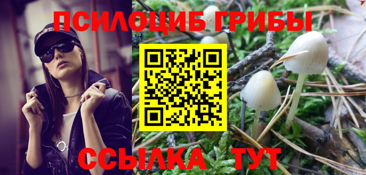 Невинномысск  Псилоцибиновые грибы ЛСД  Вход с VPN 